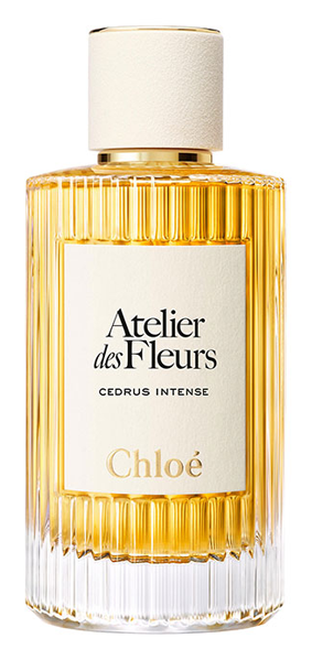 Atelier des Fleurs Cedrus Intense